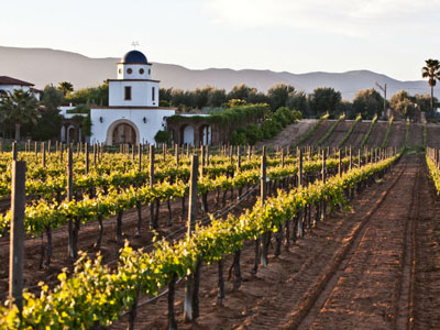 Ruta del Vino en Baja California